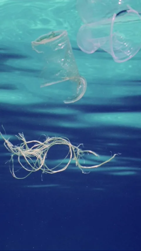 Plastic Debris Floating Below Surface In Stock Video Pond5