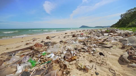 Plastic Debris Polluted Shoreline. Problems of Ecology and Pollution of the Video stock 242075754
