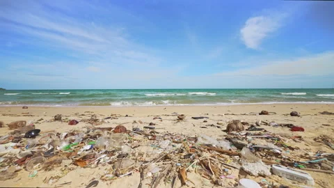 Plastic Debris Polluted Shoreline. Problems of Ecology and Pollution of the Stock Footage 261800504