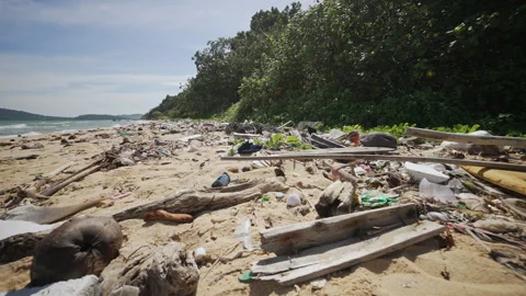 Plastic Debris Polluted Shoreline. Problems of Ecology and Pollution Stock-Footage 332749315