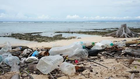 Plastic debris present in beach, largest fish landing center of the islands, 库存照片