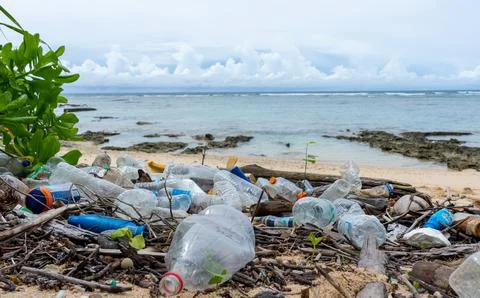 The plastic debris present in beach sediments at the remote islands of the Andam Stock-Fotos
