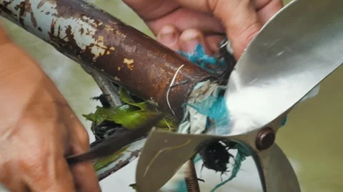 Plastic Debris Tangled on Boat Propeller in the Mekong, Vietnam Stock Footage 284766859