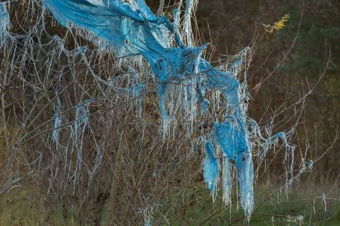 Plastic debris on a tree sways in the wind Stock Photos