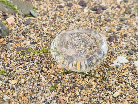 Plastic debris washed ashore on sandy beach Фото