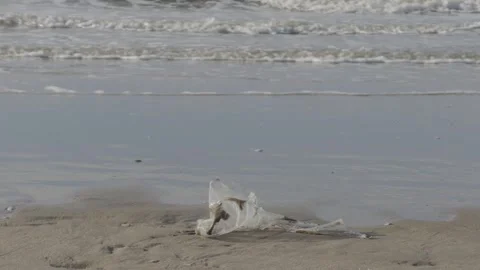 Plastic Debris Washed Up on Sandy Beach Shoreline Stock-Footage 331000891
