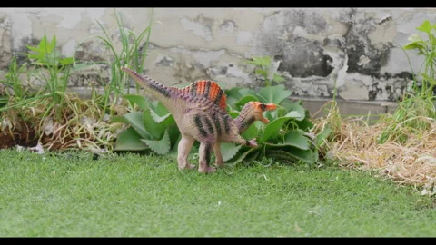 Plastic dinosaur toy standing on grass, static shot, no people Stock Footage 329683276