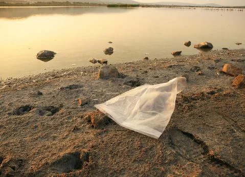 Plastic discarded at the edge of the pond Stock Photos