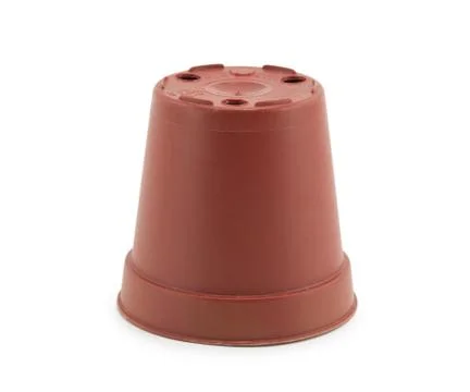 Plastic disposable container flowerpot Stock Photos
