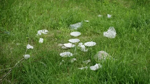Plastic disposable tableware and napkins are scattered in the forest. Stock Footage 310957566