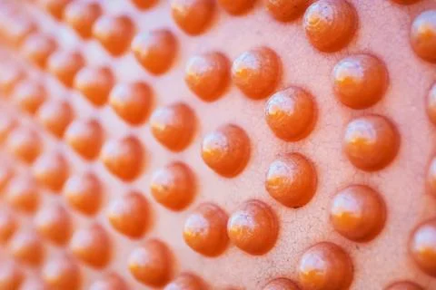 Plastic dots with sun light Stock Photos