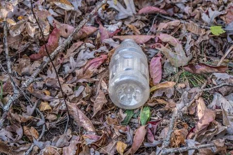 Plastic drink bottle on the ground Stock Photos