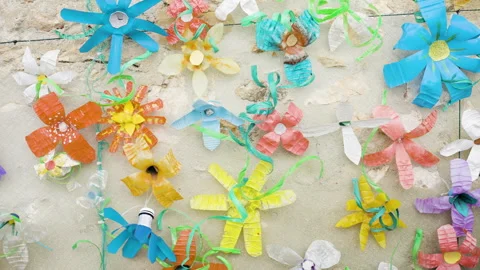 Plastic Drinking Bottles Recycled And Repurposed Into Painted Flower Decorat 스톡 동영상 254859663