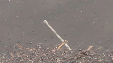 Plastic drinking straw waste floating in lake water Stock Footage 112598345