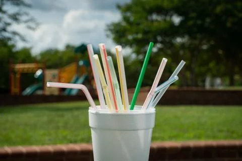 Plastic Drinking Straws in a Styrofoam Cup Stock-Fotos