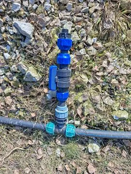 Plastic drip irrigation system with blue and black valves placed on ground .. Stock-Fotos