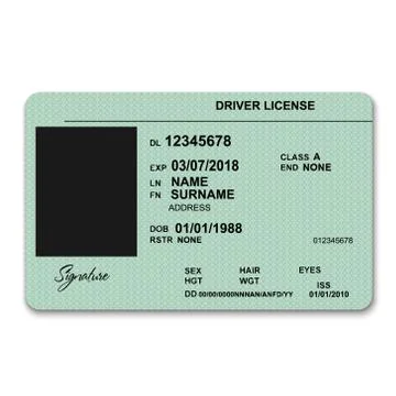 Plastic driver licence Illustrazione stock