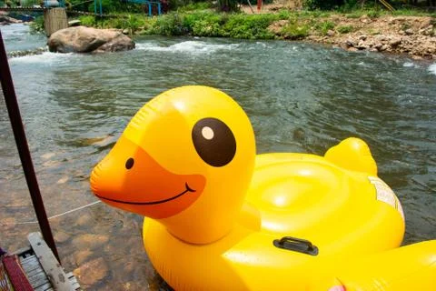 Plastic duck balloon for rowing downstream on canal Photos