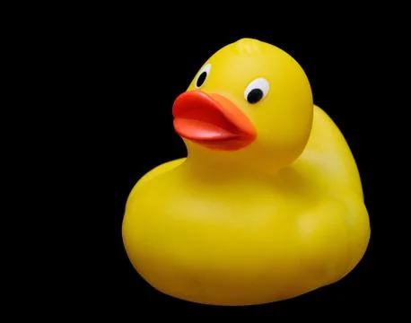 Plastic duck. Fotos Stock