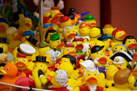 Plastic ducks Stock Photos