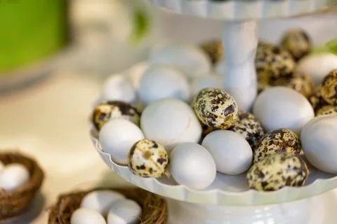 Plastic eggs Fotos Stock