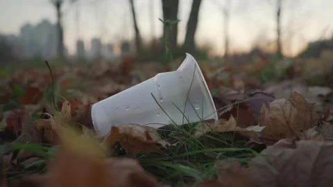 Plastic empty cup lying on grass covered with autumnal foliage Stock Footage 164817970