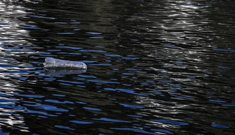 Plastic empty water bottle as pollution litters out waterways , plastic bottle Foto stock