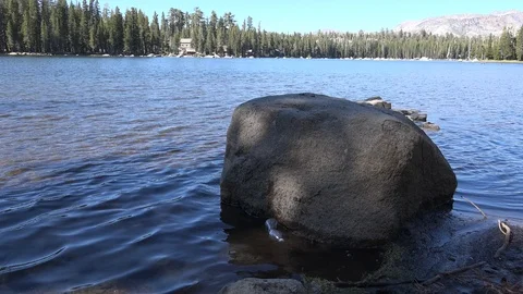 Plastic in the environment, Bottle floating in lake Stock Footage 95141703