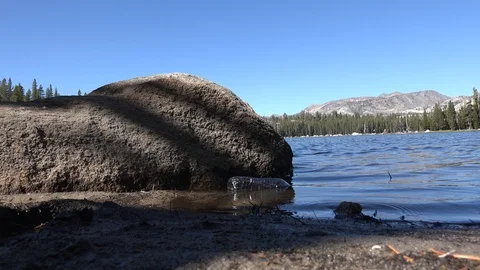 Plastic in the environment damage, water bottle in lake Stock Footage 95141684