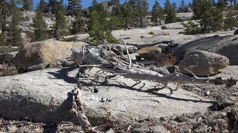 Plastic in the environment, wilderness trash Stock Footage 95141078