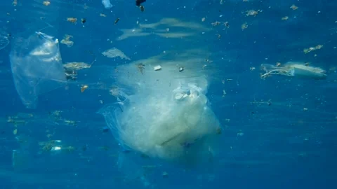 Plastic, face mask and other garbage drifts under blue water surface in sun Stock Footage 146698656