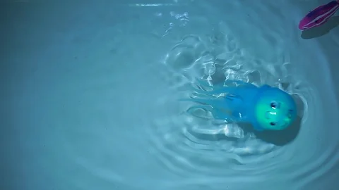 Plastic fish octopus swimming pool Stock Footage 115901910