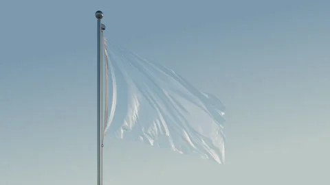 Plastic Flag: Cinematic Loopable Motion with Blue Sky in 4K ProRes 422 HQ Stock Footage 269068160
