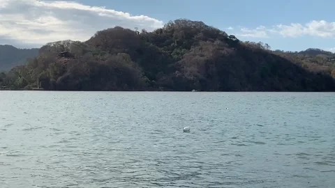 Plastic floating over the sea 01 Video stock 282635070
