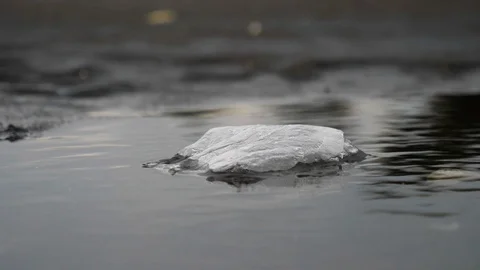 Plastic Floating In Water Video stock 120491420