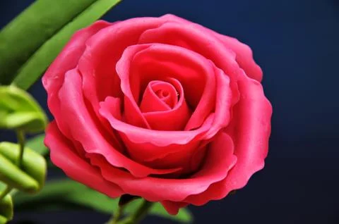 Plastic flower Stock Photos