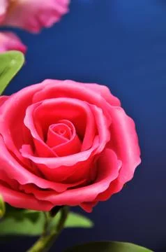 Plastic flower Stock Photos