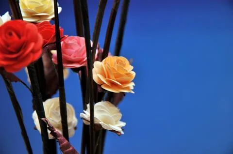 Plastic flower Stock Photos