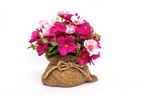 Plastic flower Foto stock