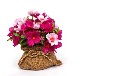 Plastic flower 스톡 사진