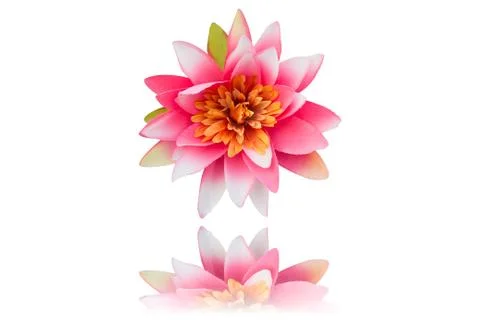 Plastic Flower Stock Photos