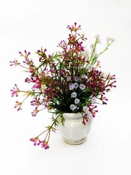 Plastic Flower Stock Photos