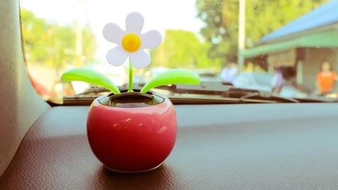 Plastic flower pot is moving by solar cell power Stock Footage 113533351