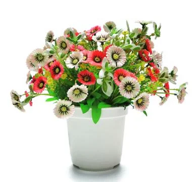 Plastic flowerpot Stock Photos