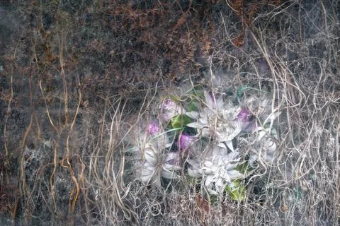 Plastic flowers behind a network of roots in a cemetery niche Foto stock