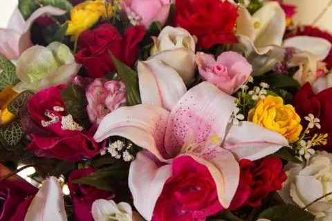 Plastic flowers Stock Photos