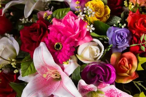 Plastic flowers Stock Photos