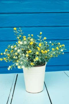 Plastic flowers Stock Photos