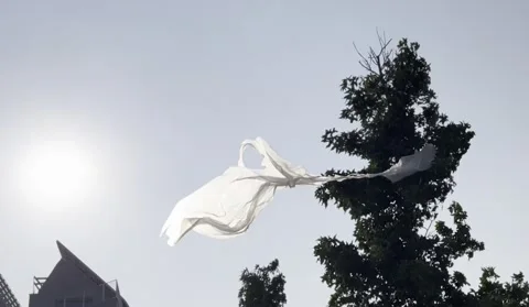 Plastic Foil Dancing with the Wind Stock Footage 244925581