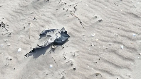 Plastic foil pollution in beach sand Stock-Footage 121669274